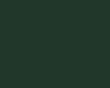 POLYNEON GREEN 40 1000M. C/1669