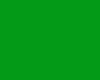 POLYNEON GREEN 40 1000M. C/1749