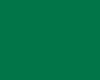 POLYNEON GREEN 40 1000M. C/1750
